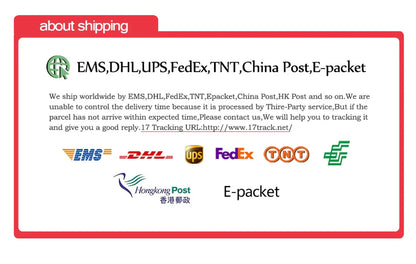 High-Performance 5-Speed Handheld Portable Air Blower with 6000mAh Rechargeable Battery for Dust Removal and Outdoor Use